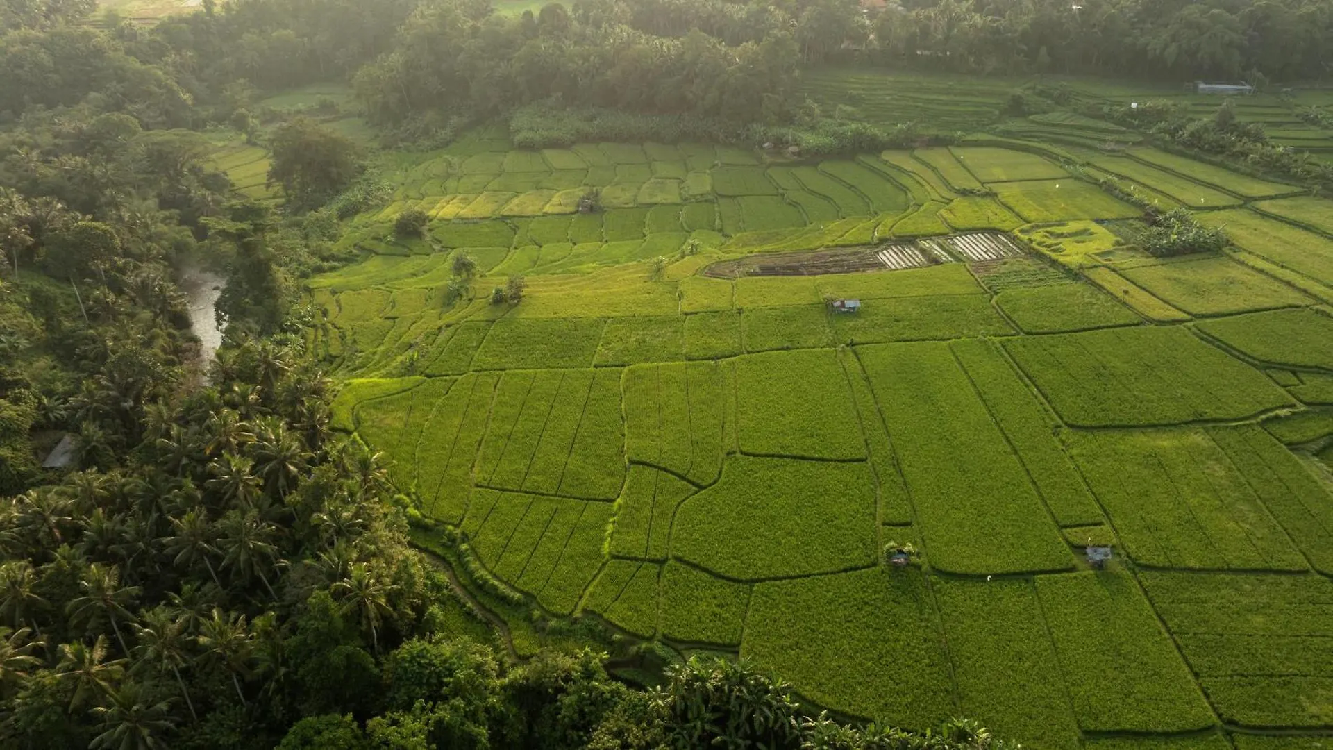 Bambu Indah Resort Ubud