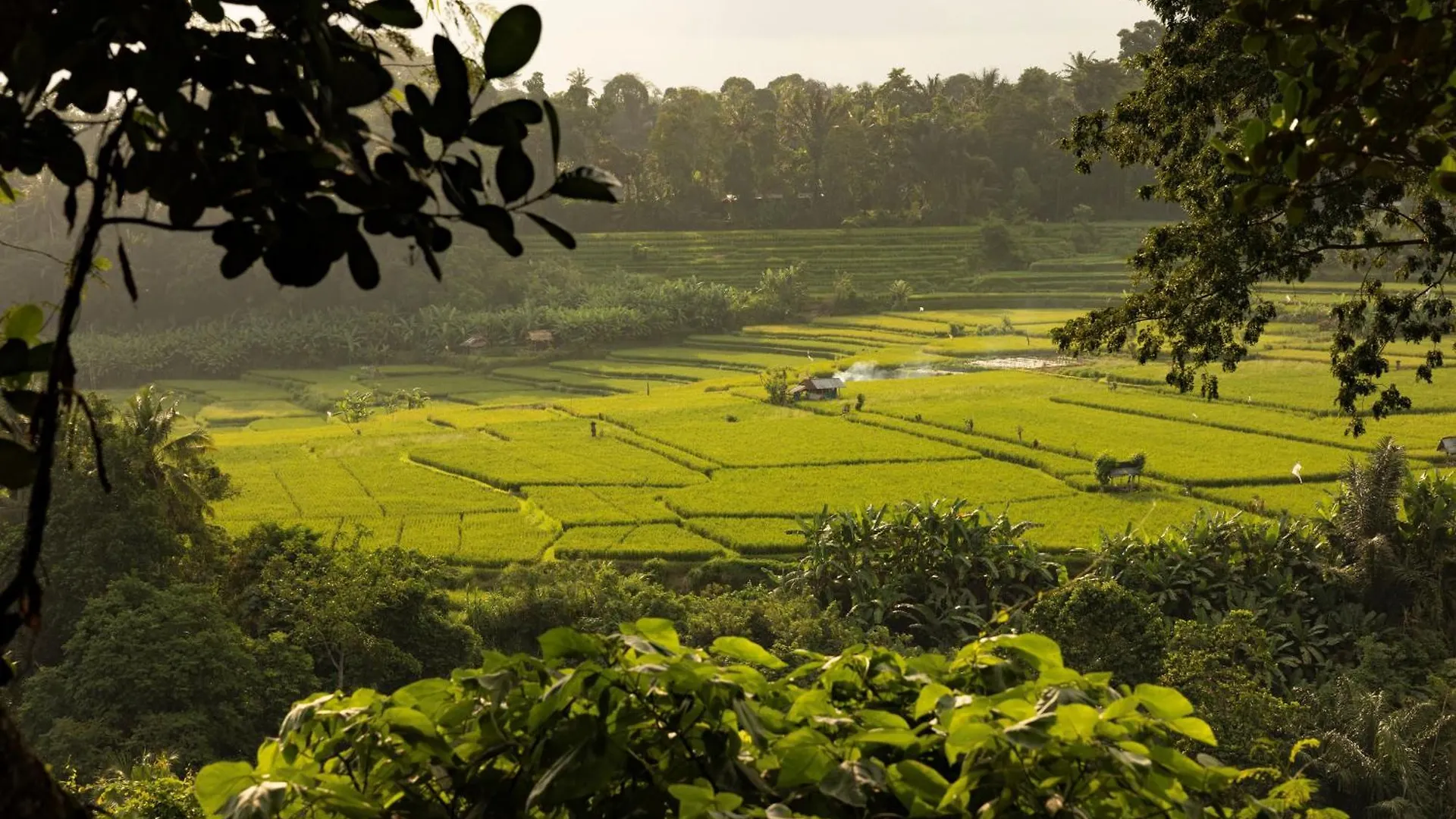 Bambu Indah Resort Ubud
